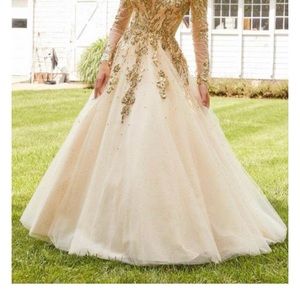 Long Sleeve Ball Gown (Prom/Formal/Pageant)